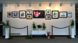 Spring Photography Display At St Peters In North Wales